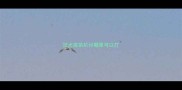 狂犬疫苗杭州哪里可以打