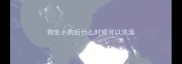 狗生小狗后什么时候可以洗澡