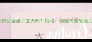 哈士奇适合当护卫犬吗性格训练与实战能力全