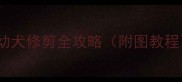 比熊4个月必看超萌幼犬修剪全攻略附图教程新手养狗人必存