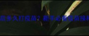 幼猫断奶后多久打疫苗新手必看疫苗接种全攻略