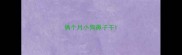 俩个月小狗鼻子干