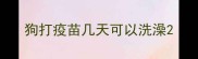 狗打疫苗几天可以洗澡