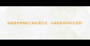 指南遗弃狗狗的正确处理方式从救助到领养的全流程