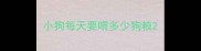 小狗每天要喂多少狗粮