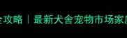 成都哈士奇购买全攻略最新犬舍宠物市场家庭养殖避坑指南