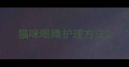 猫咪眼睛护理方法