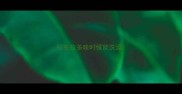 拉布拉多啥时候能洗澡