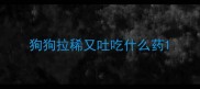 狗狗拉稀又吐吃什么药