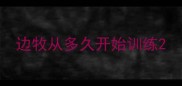 边牧从多久开始训练