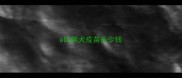 a比熊犬疫苗多少钱