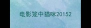 电影笼中猫咪2015