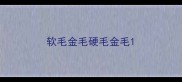 软毛金毛硬毛金毛