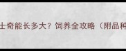 红色哈士奇能长多大饲养全攻略附品种对比图