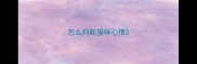 怎么判断猫咪心情