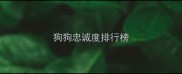 狗狗忠诚度排行榜