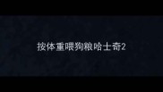 按体重喂狗粮哈士奇