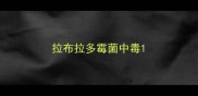 拉布拉多霉菌中毒