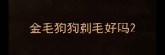 金毛狗狗剃毛好吗