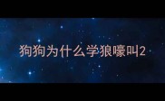 狗狗为什么学狼嚎叫