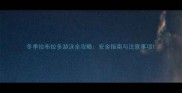 冬季拉布拉多游泳全攻略安全指南与注意事项
