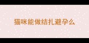 猫咪能做结扎避孕么