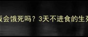 小狗不吃饭会饿死吗3天不进食的生死救援指南