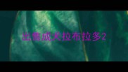 出售成犬拉布拉多