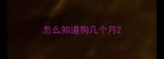 怎么知道狗几个月