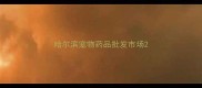 哈尔滨宠物药品批发市场