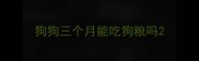 狗狗三个月能吃狗粮吗