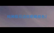 纯种陨石边牧眼睛颜色