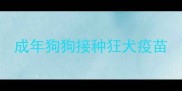 成年狗狗接种狂犬疫苗