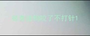 被泰迪狗咬了不打针