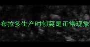 产前焦虑拉布拉多生产时刨窝是正常现象科学应对指南