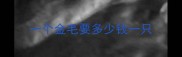 一个金毛要多少钱一只