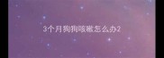 3个月狗狗咳嗽怎么办