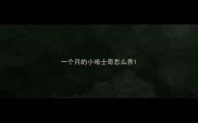 一个月的小哈士奇怎么养