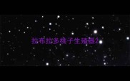 拉布拉多桃子生殖器