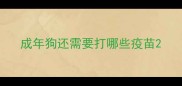 成年狗还需要打哪些疫苗
