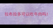 拉布拉多可以吃牛肉吗