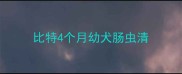 比特4个月幼犬肠虫清