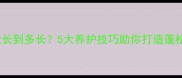 金毛犬毛发能长到多长5大养护技巧助你打造蓬松长毛美毛
