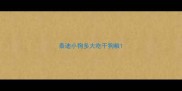 泰迪小狗多大吃干狗粮
