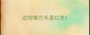 边牧嘴巴毛是红色