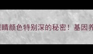 全网最全拉布拉多眼睛颜色特别深的秘密基因养护品种特征全公开