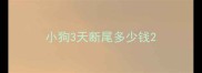 小狗3天断尾多少钱