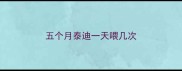 五个月泰迪一天喂几次
