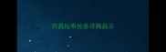 许昌拉布拉多寻狗启示