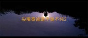 尖嘴泰迪是不是不纯